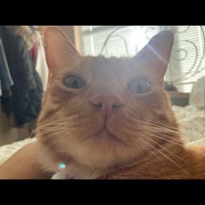 Meet your Posher, Soo